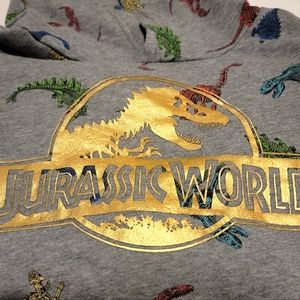 H&M Jurassic World Hoodie Kids Size 8-10Y